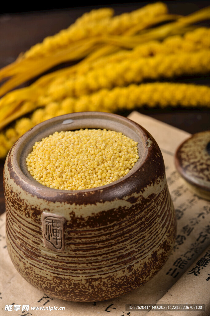 小米 谷物