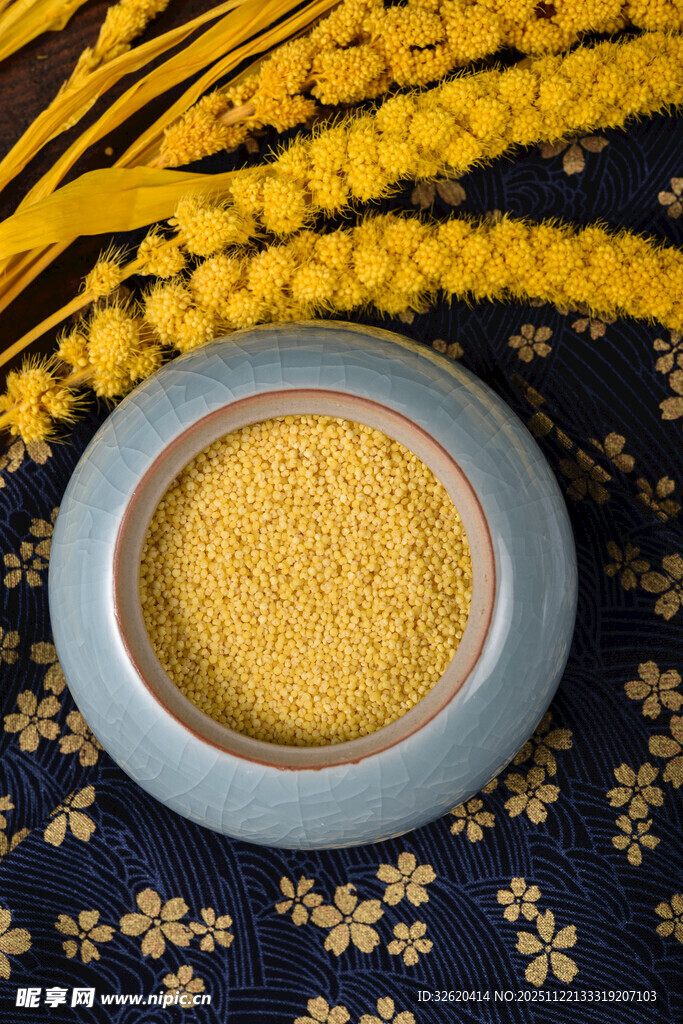小米 谷物
