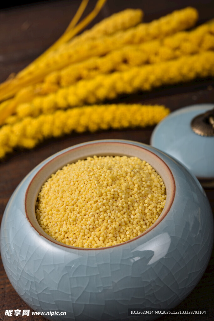 小米 谷物