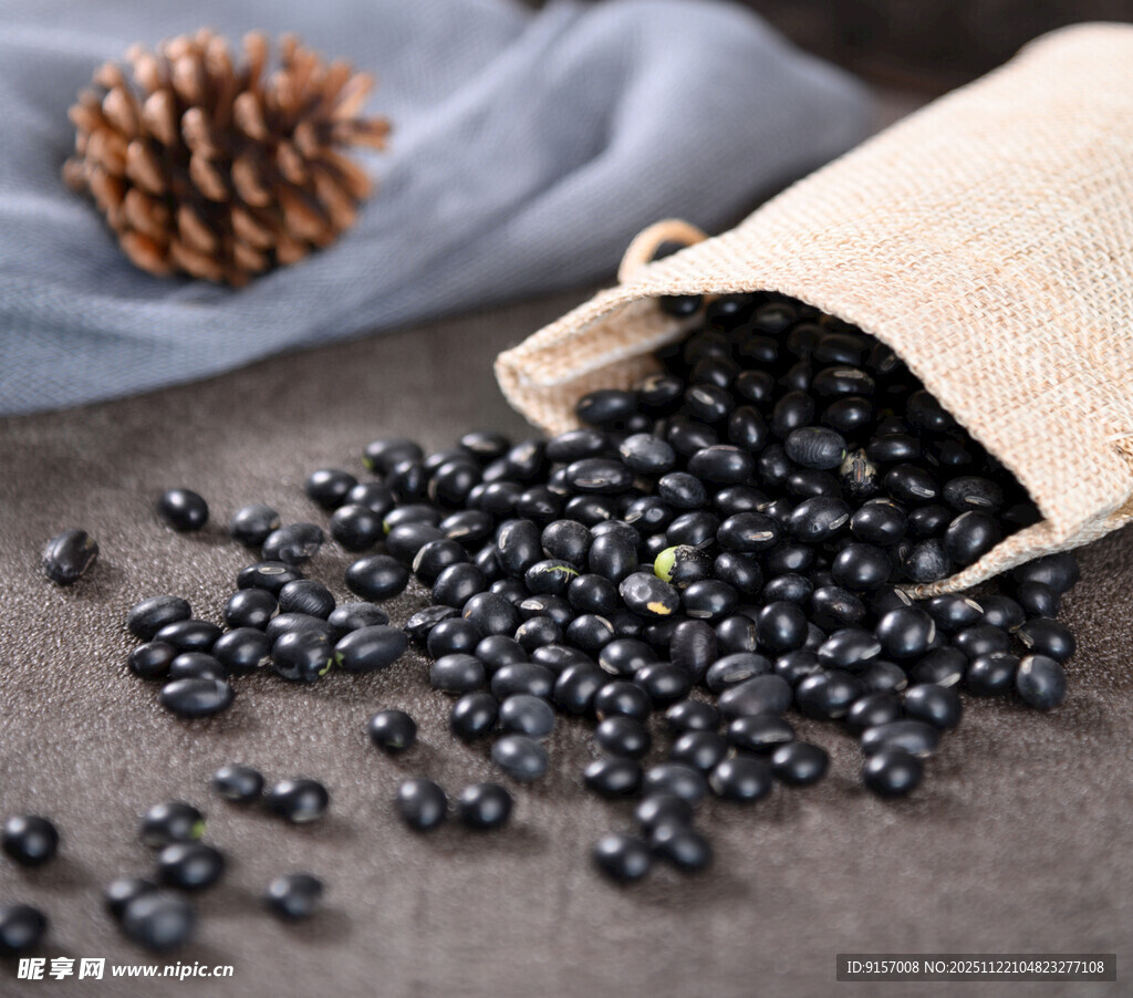散落的黑豆与松果场景