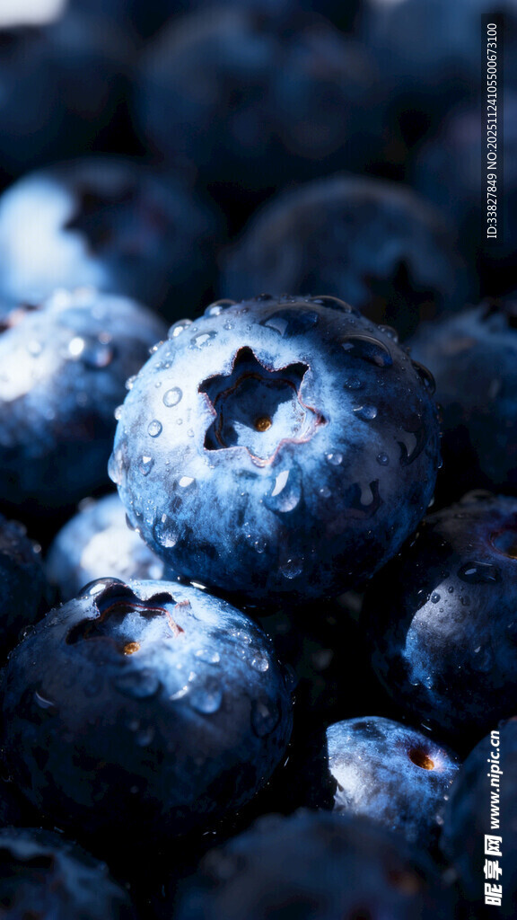 饱满多汁的新鲜蓝莓