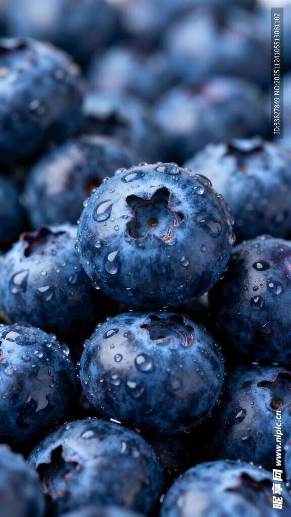饱满多汁的新鲜蓝莓