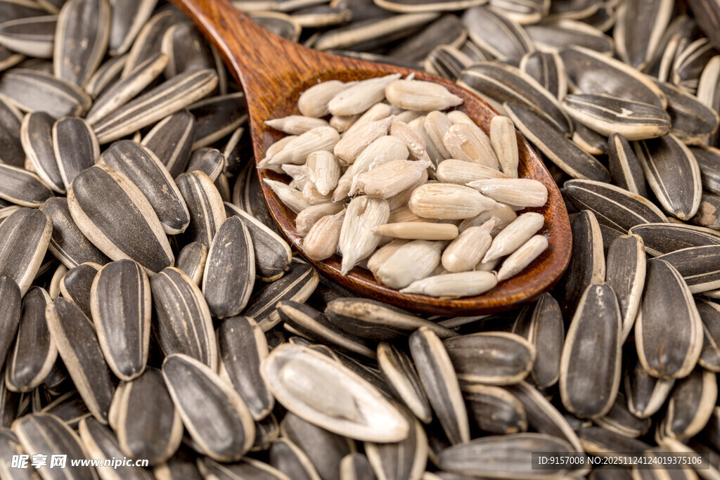 木勺盛着饱满的葵花籽