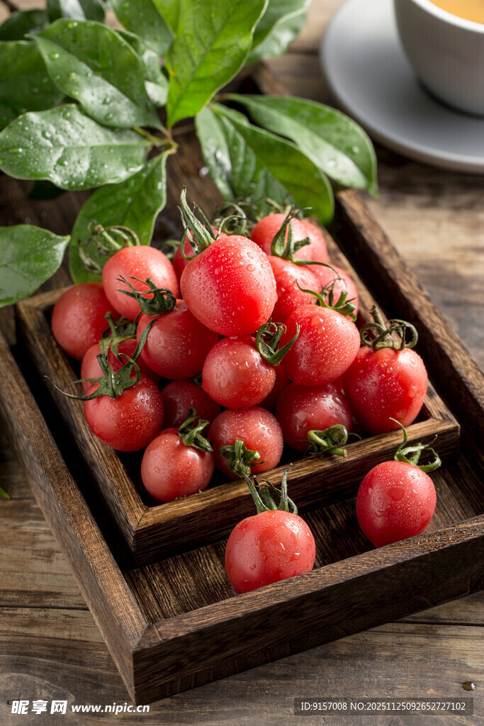 木盘里的新鲜圣女果