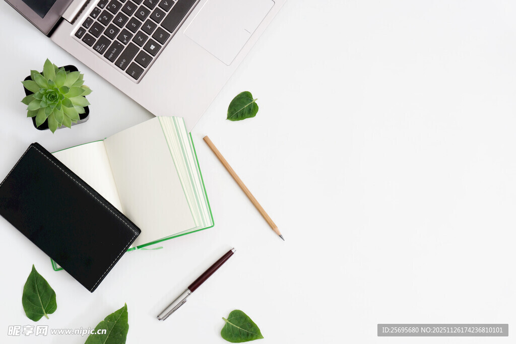 简约办公桌盆栽