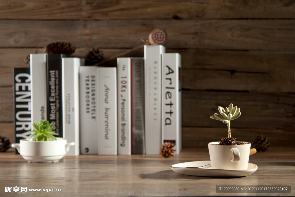 书架上的书籍与绿植点缀