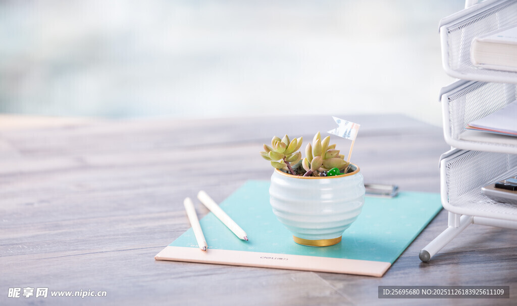 清新桌面绿植文具组合