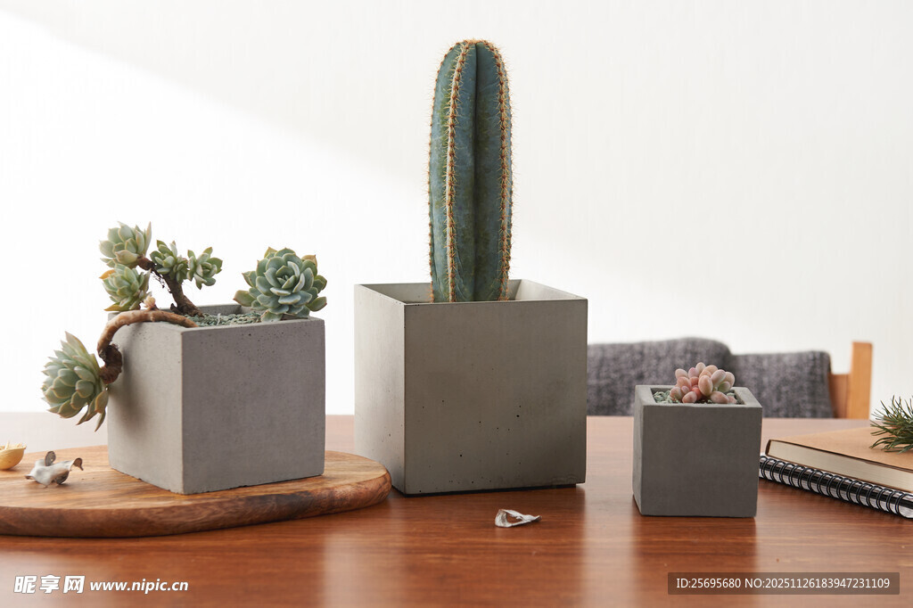 简约风多肉盆栽摆件组合