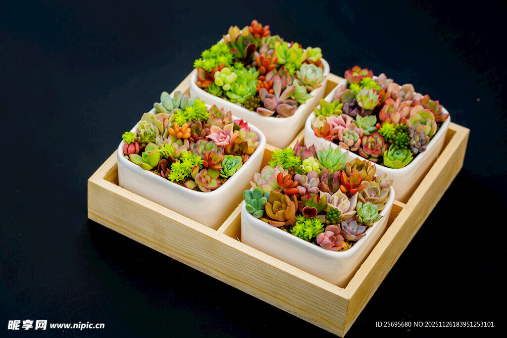 木盒盛装的美味多彩沙拉