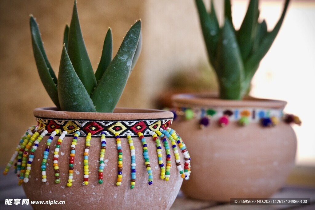 串珠装饰的可爱多肉盆栽