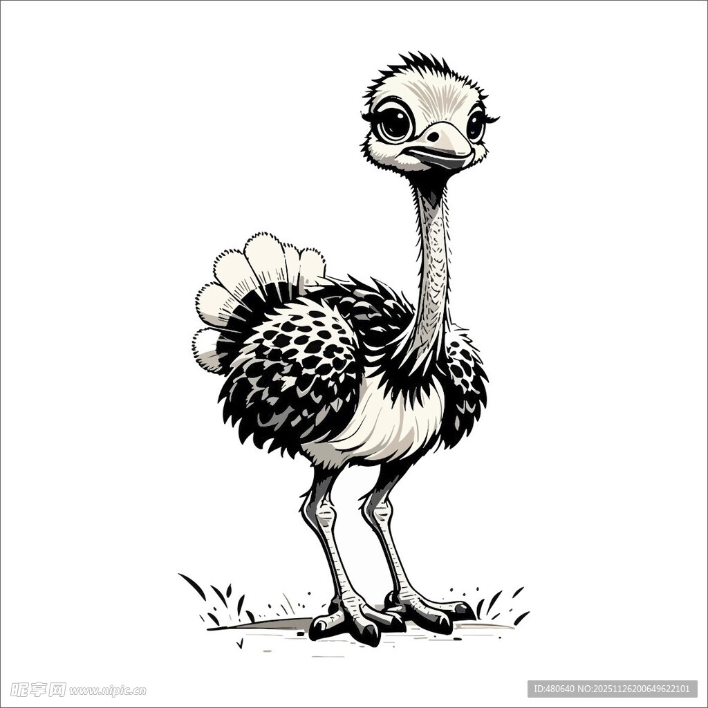 站立的鸵鸟黑白插画