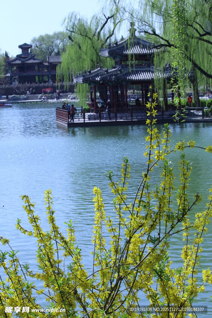 公园风景  