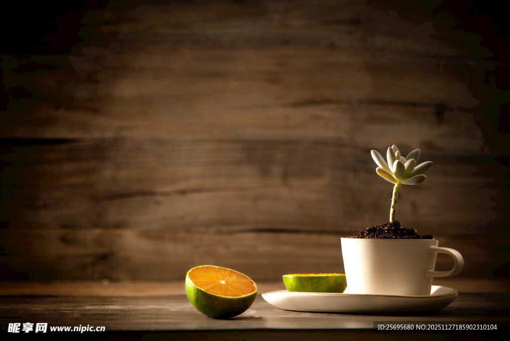 木桌上的绿植与水果切片