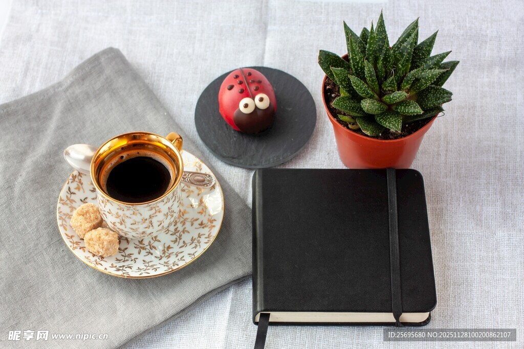 咖啡绿植相伴的静谧时光