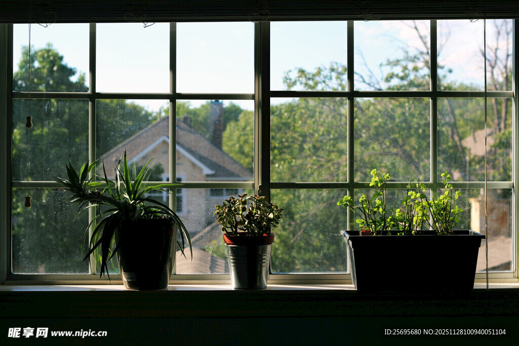 窗边绿植与户外景致