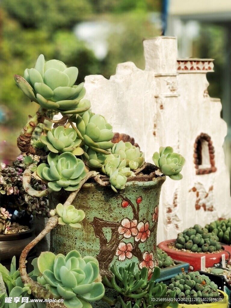 城堡旁的多肉植物景观