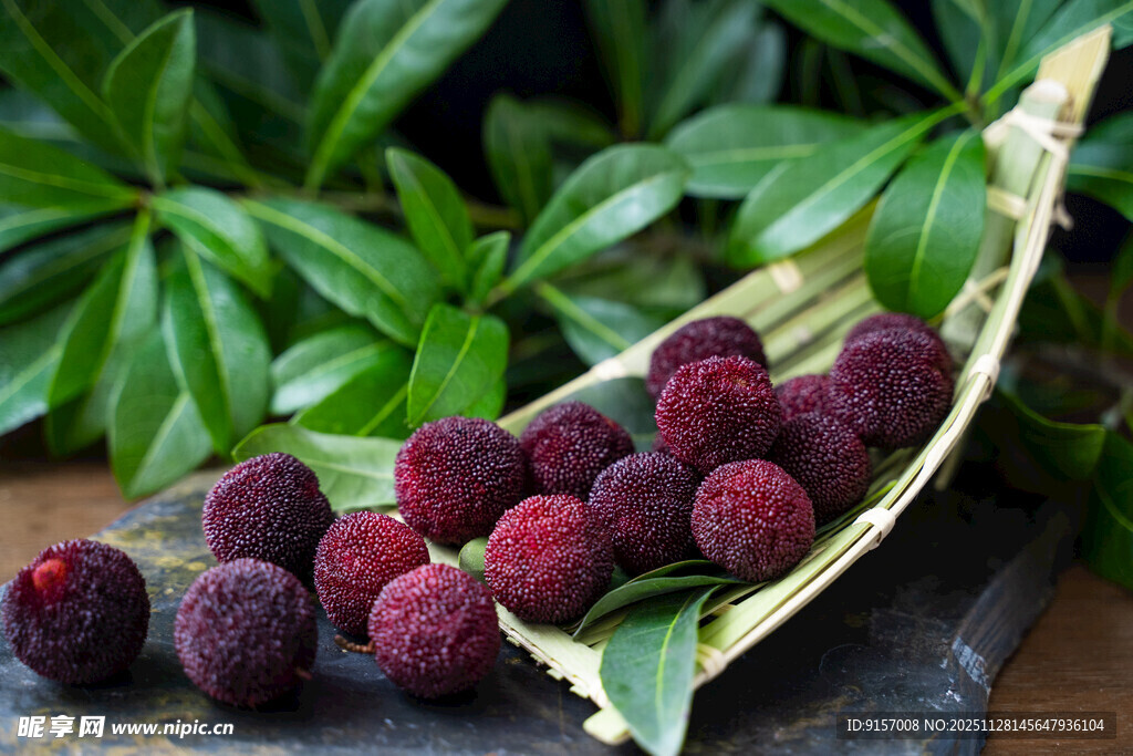 新鲜诱人的红杨梅果实