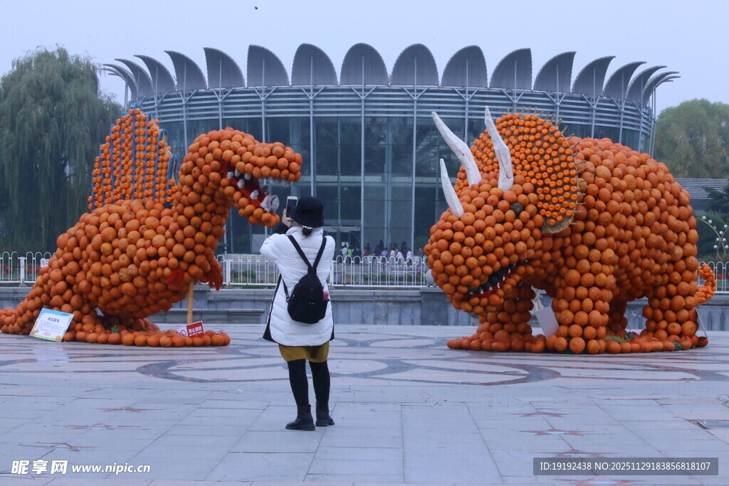 公园风景 