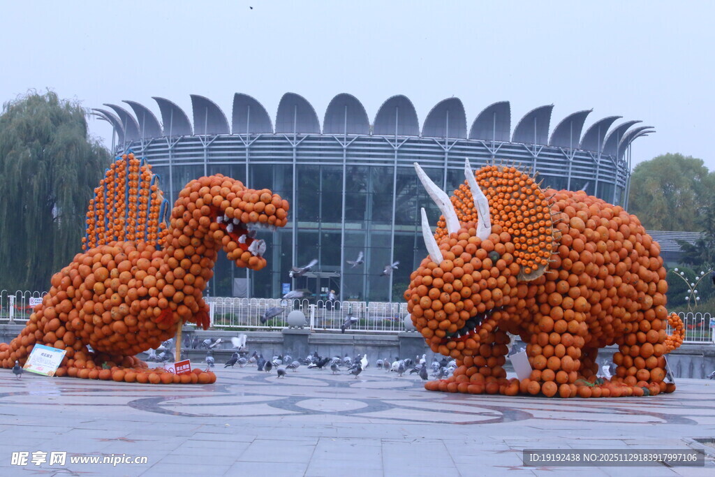 公园风景  