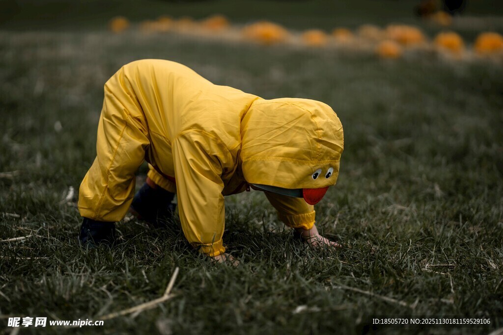 幼儿草地玩耍探索自然