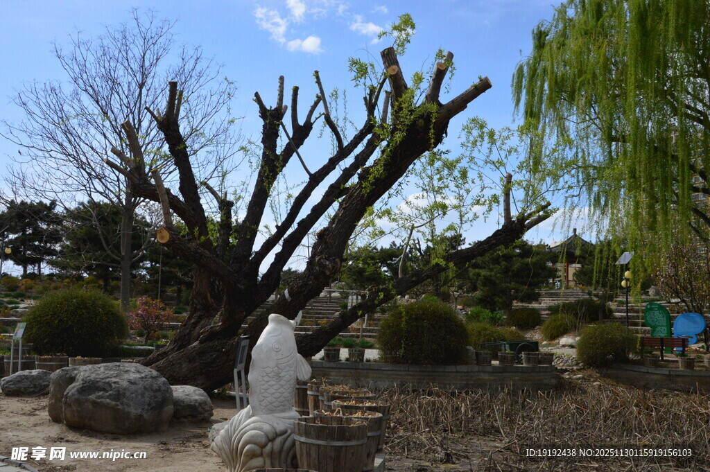 公园风景 