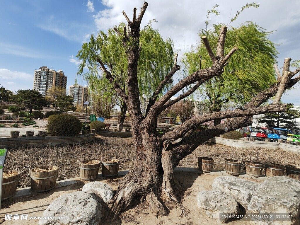 公园风景 