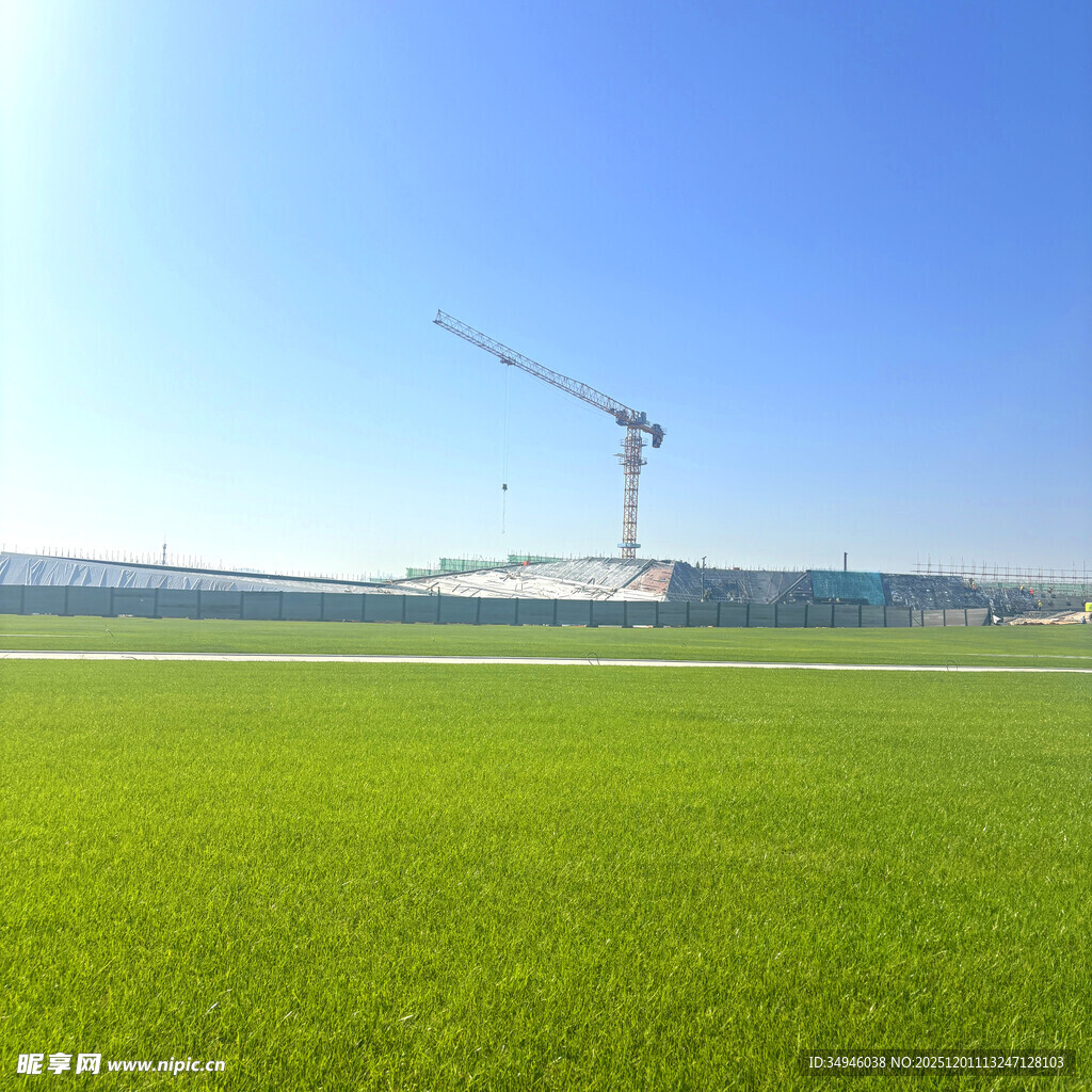 绿地上的高耸起重机