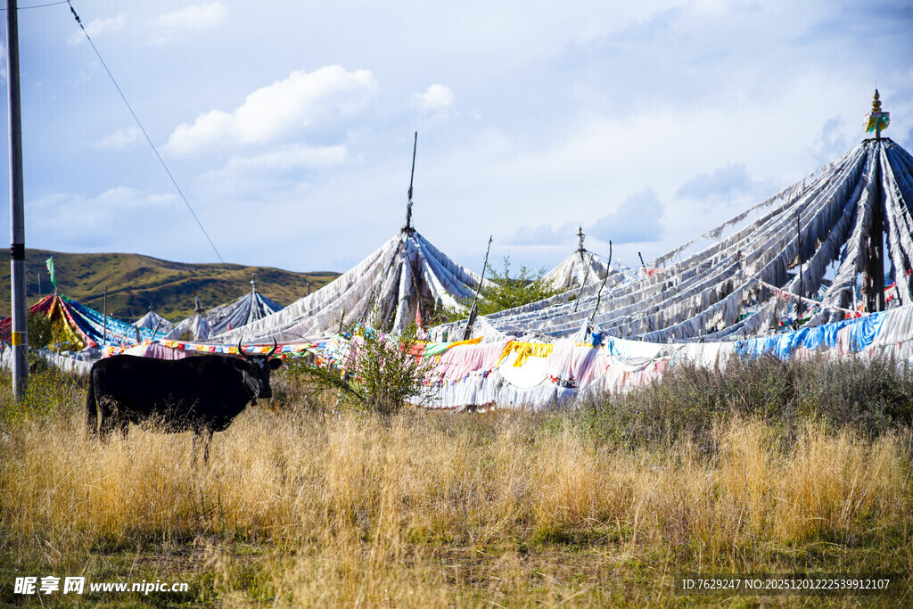 草原上的多彩经幡景观
