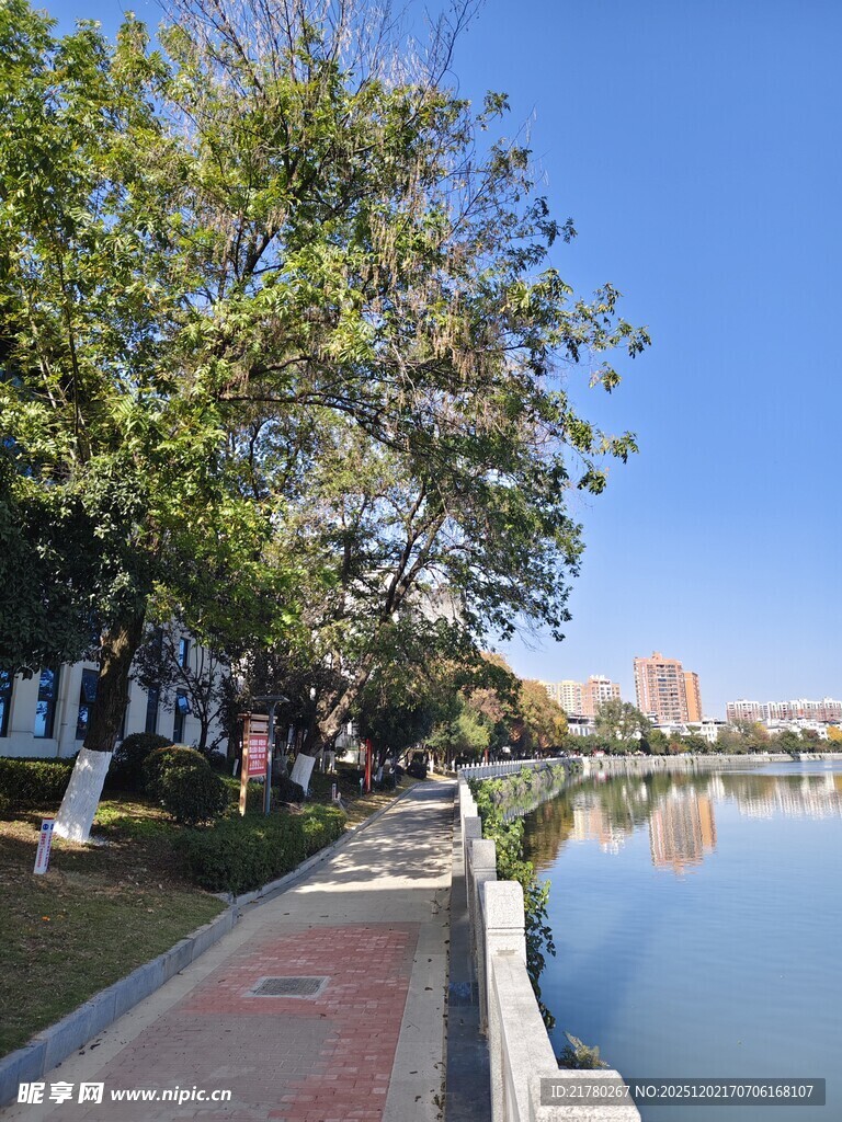河畔绿树休闲步道