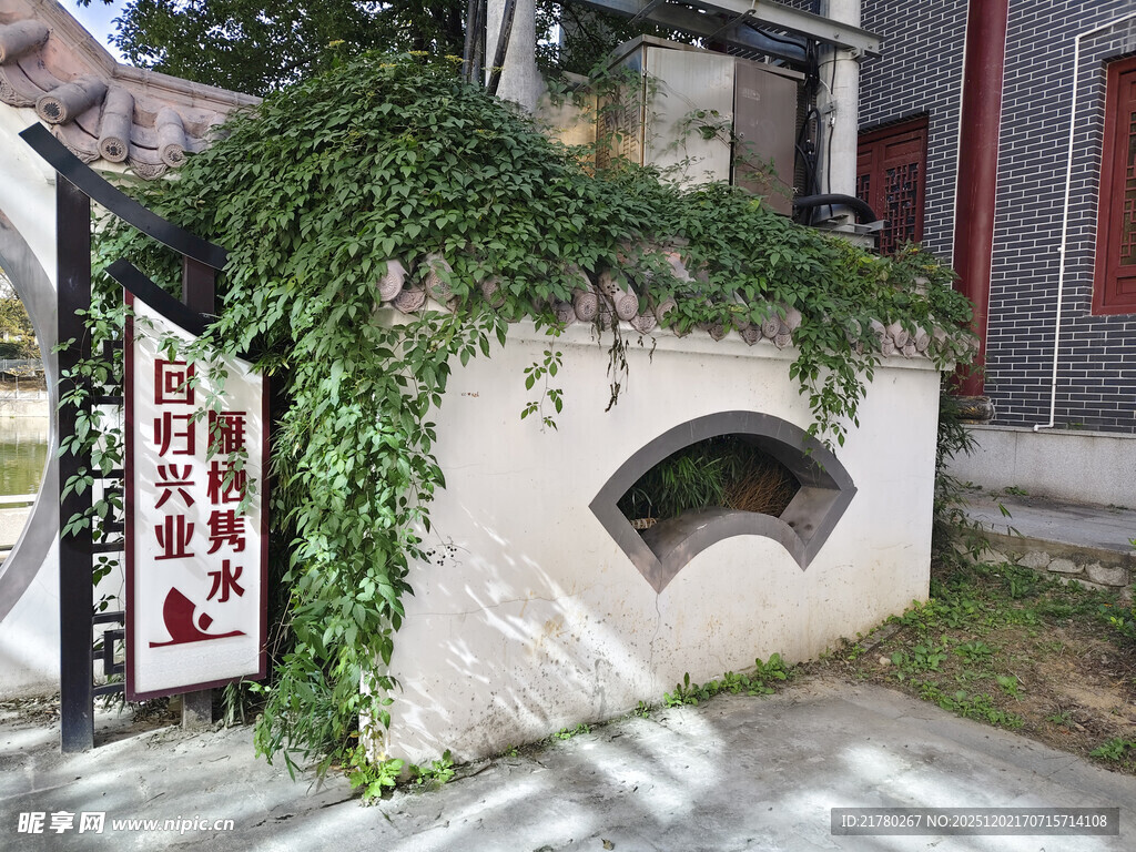 爬满绿植 围墙