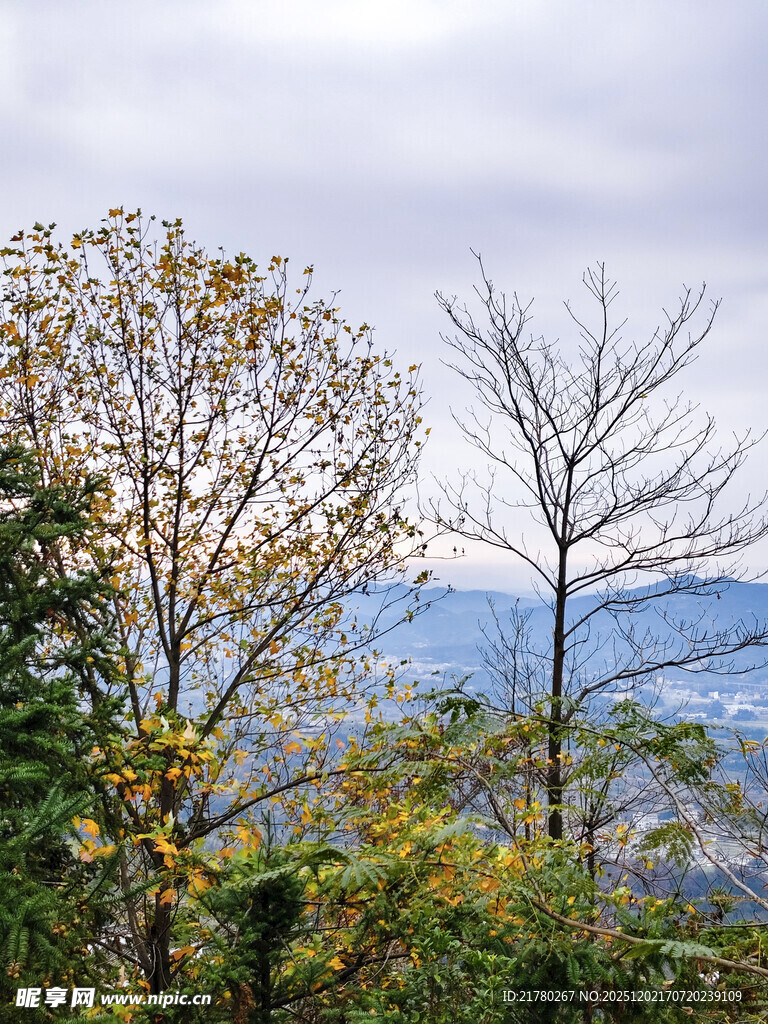 秋日山林远景