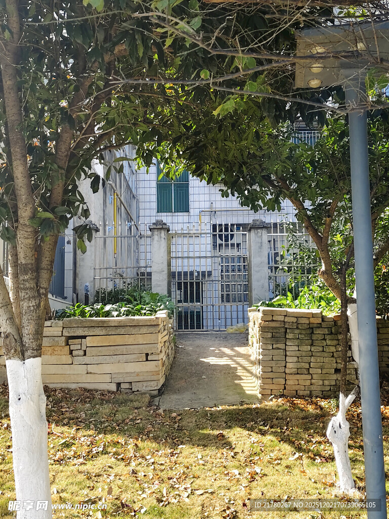 树林间的庭院