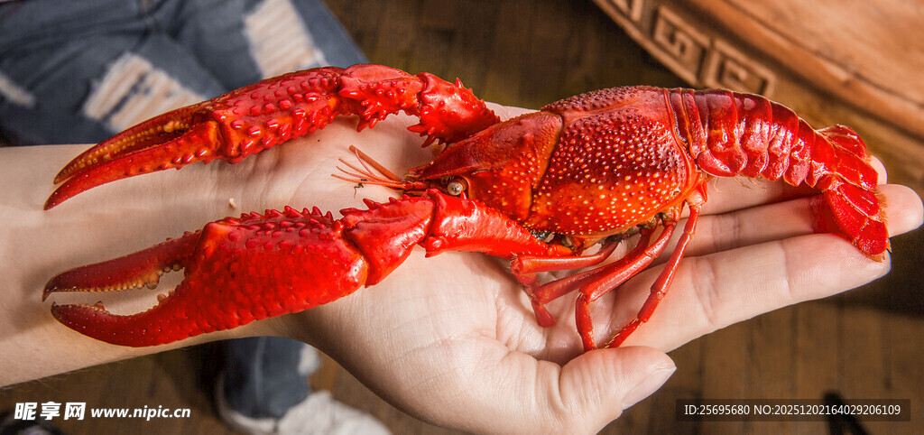 手中鲜活小龙虾特写