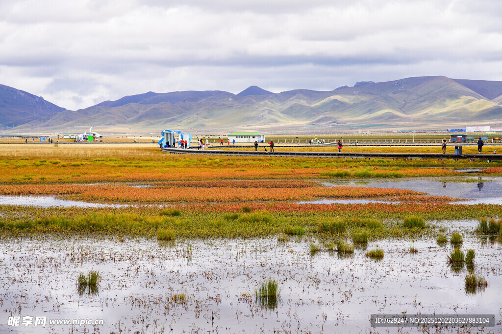 若尔盖草原湿地风光美景