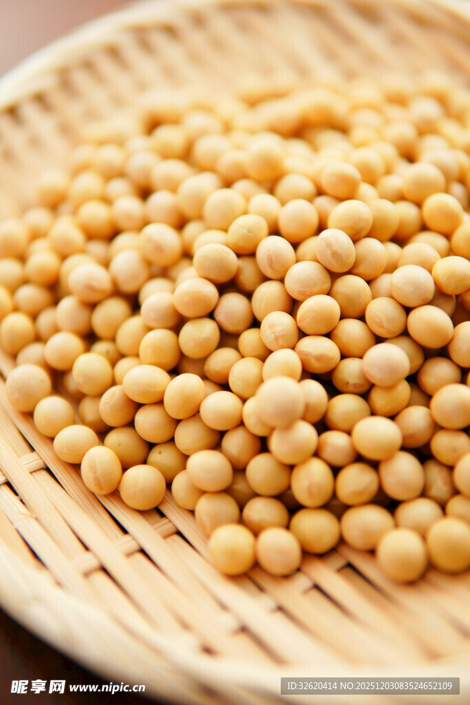 黄豆
