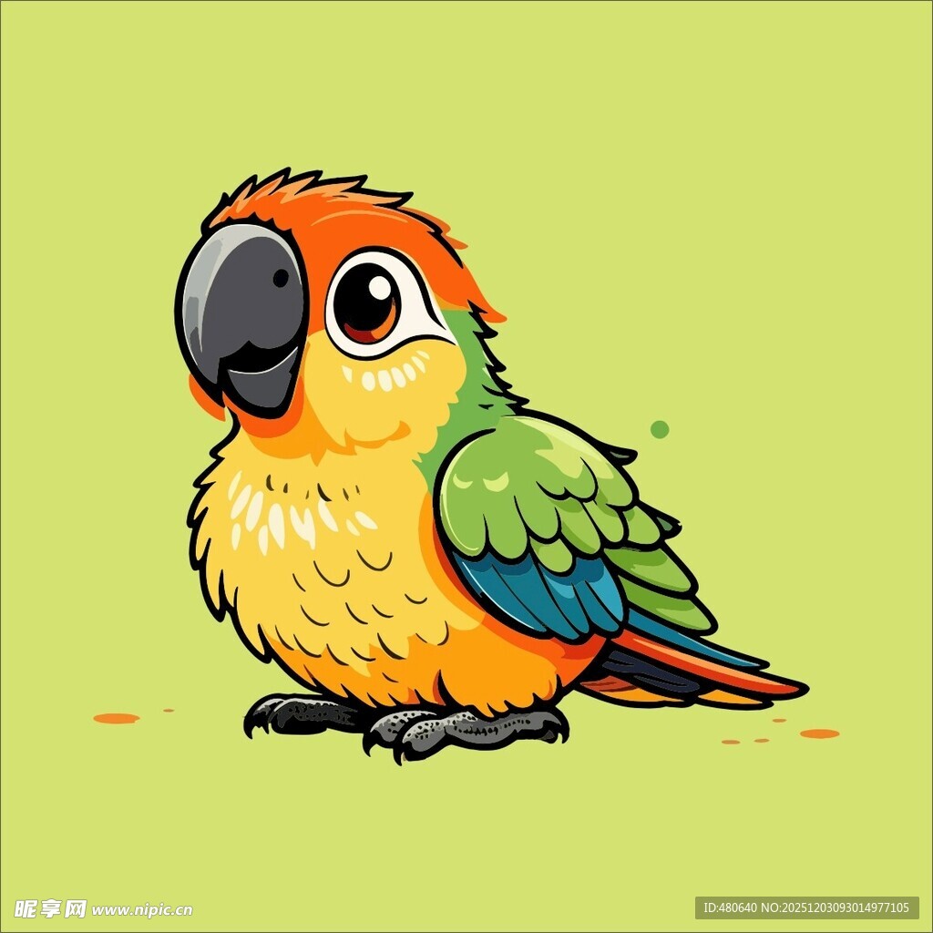 彩色鹦鹉插画