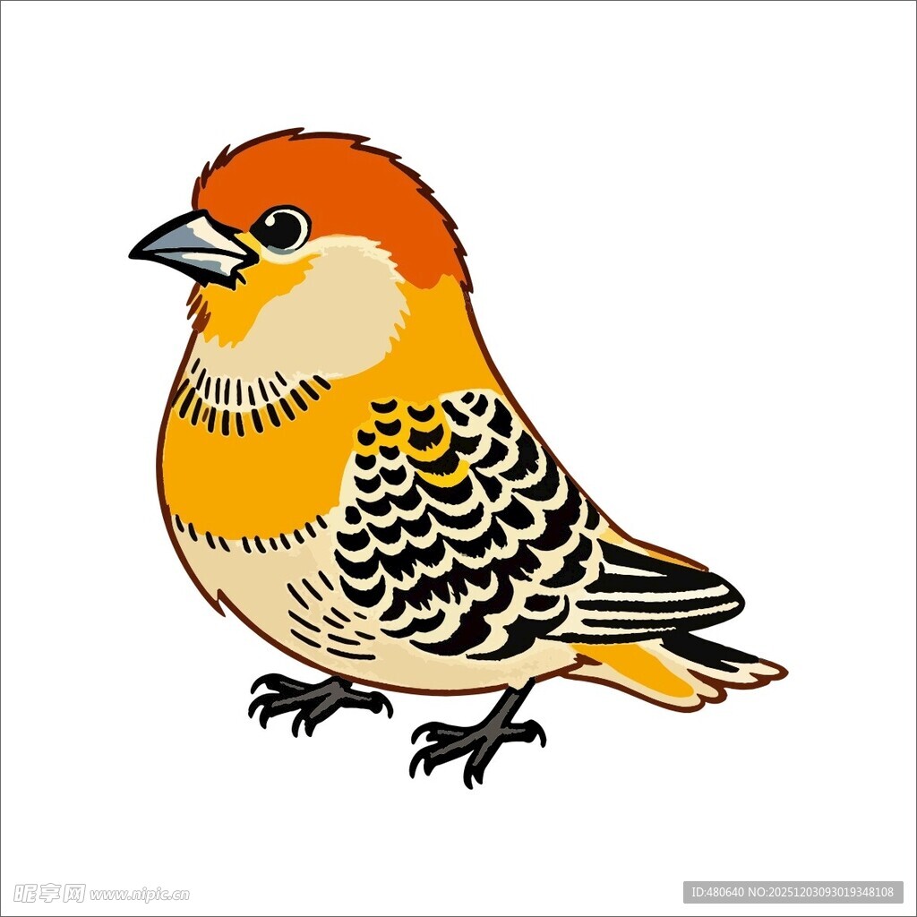 彩色小鸟插画