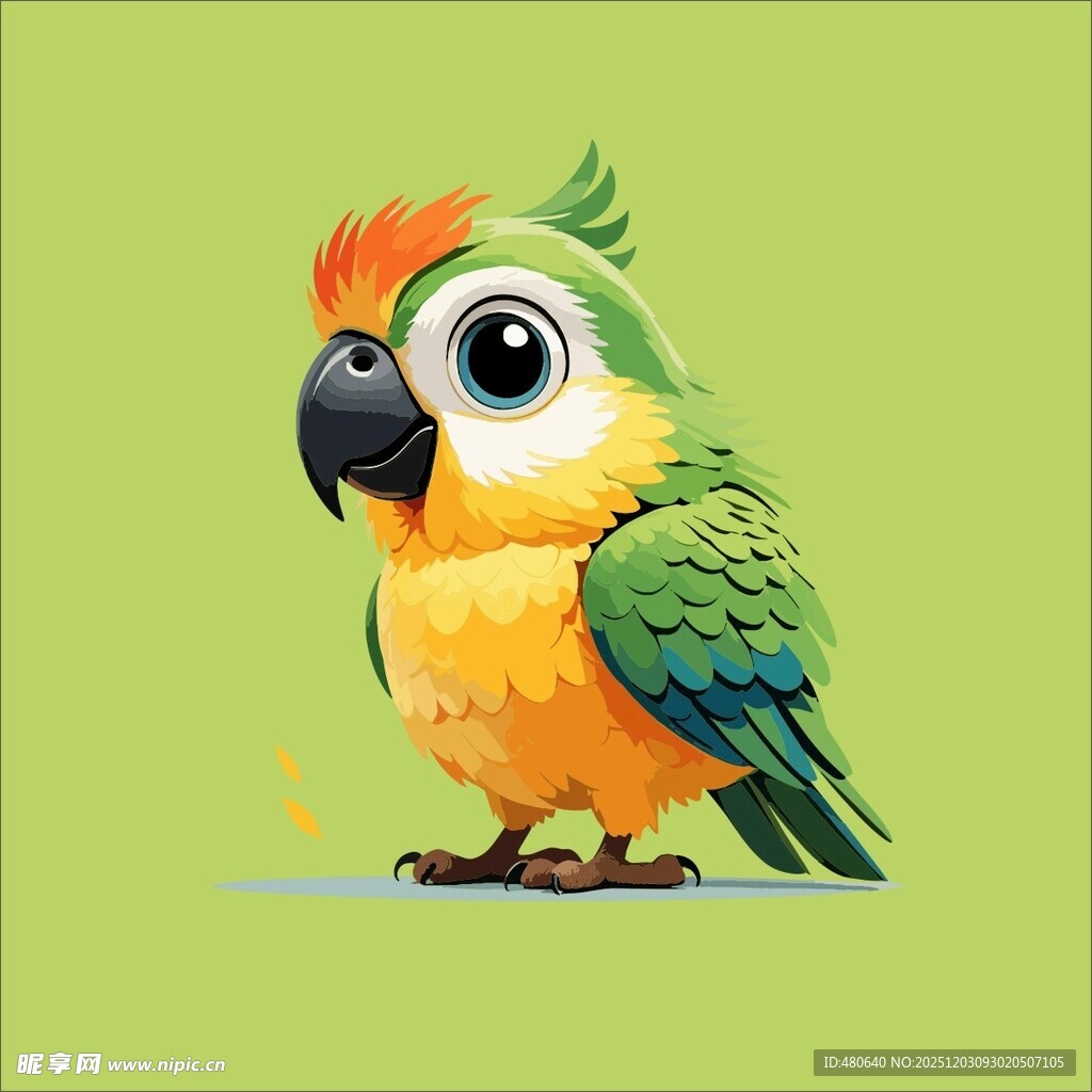 多彩鹦鹉插画