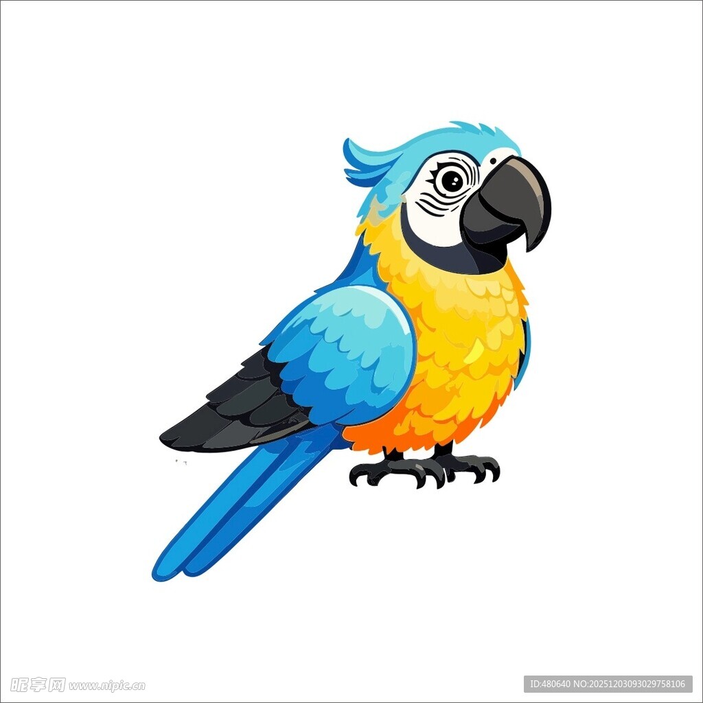 蓝色金刚鹦鹉插画