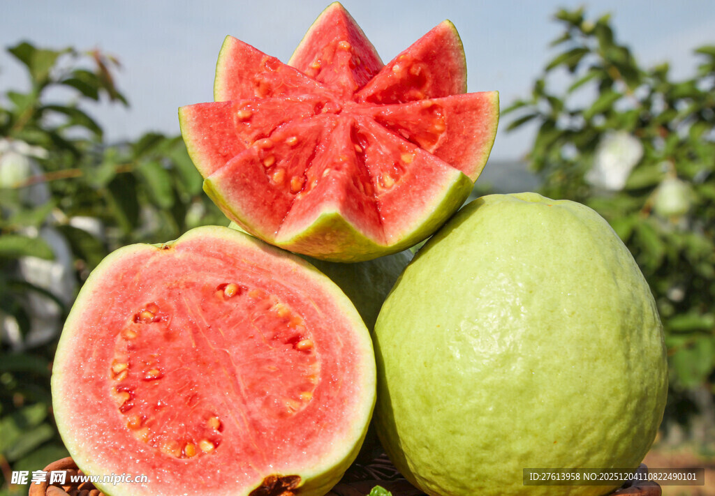 切开的红心番石榴