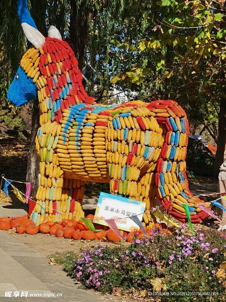 公园风景  