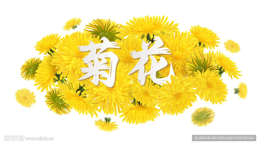 黄色菊花图案设计素材