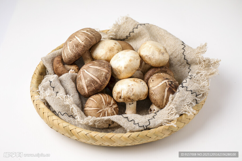 篮子里的新鲜蘑菇