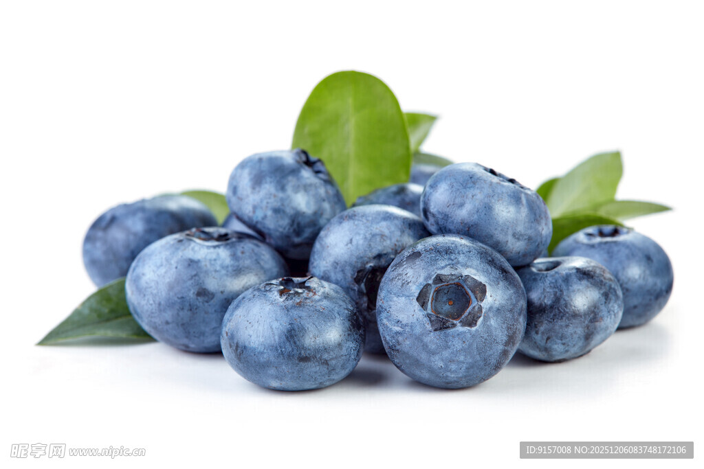 新鲜蓝莓