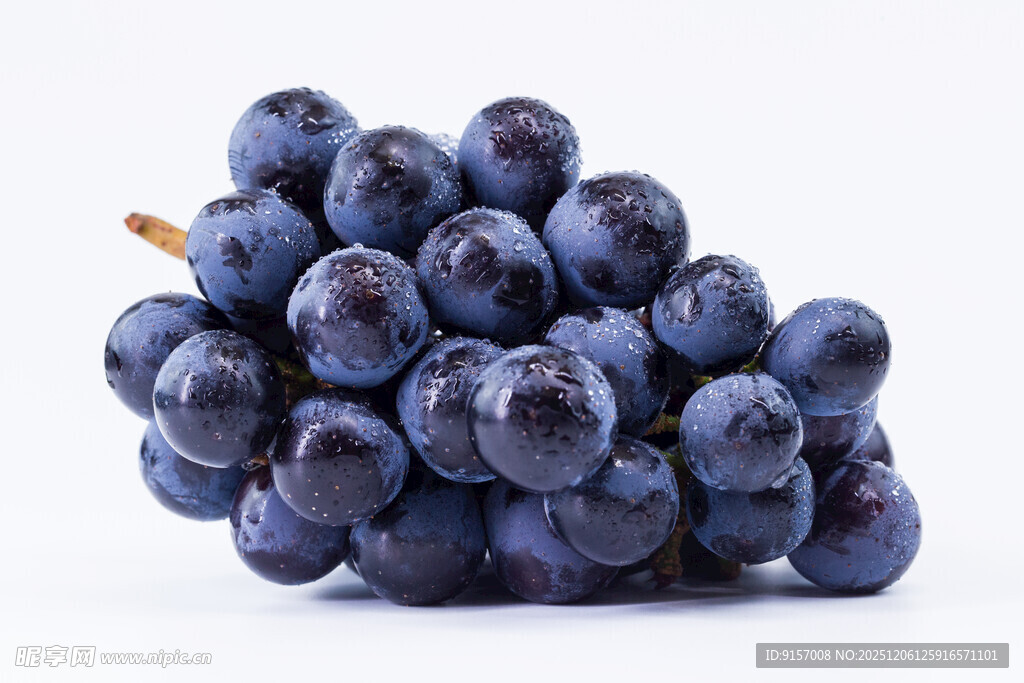 紫葡萄特写