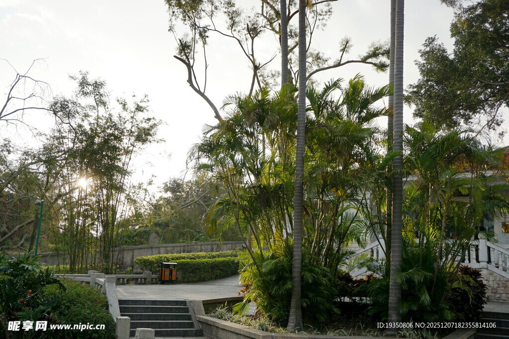 鼓浪屿的绿树与步道