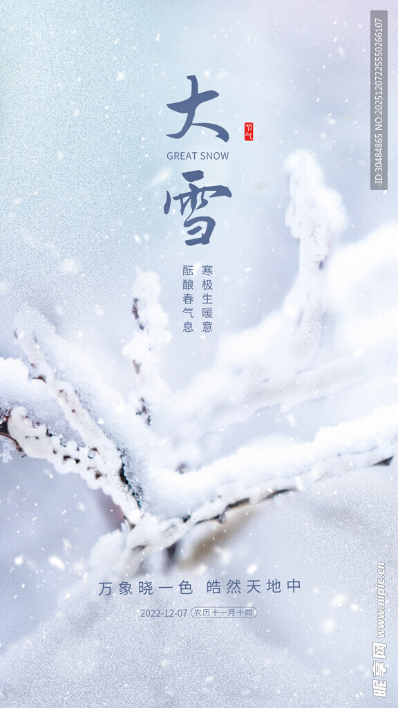 唯美大雪海报