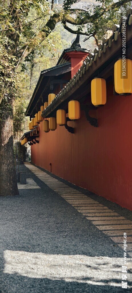 红墙古巷中的静谧景致