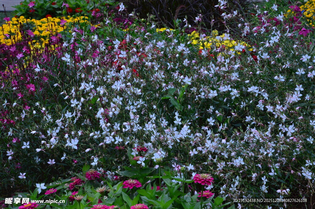 天坛花境风景  