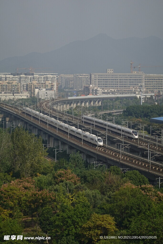 高架铁路穿行于绿树间
